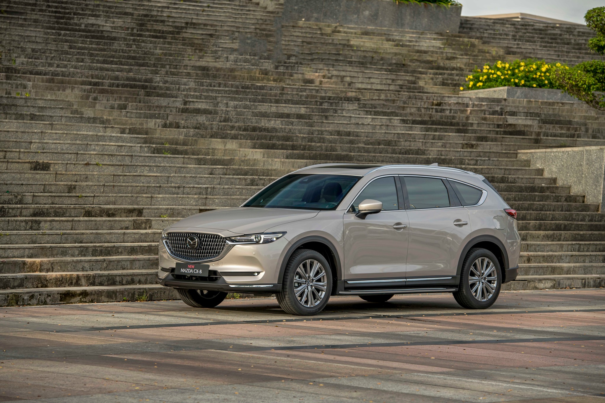 New Mazda Cx8 - Premium